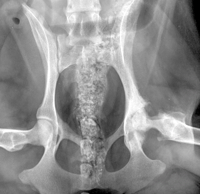 Post-operative radiograph left view