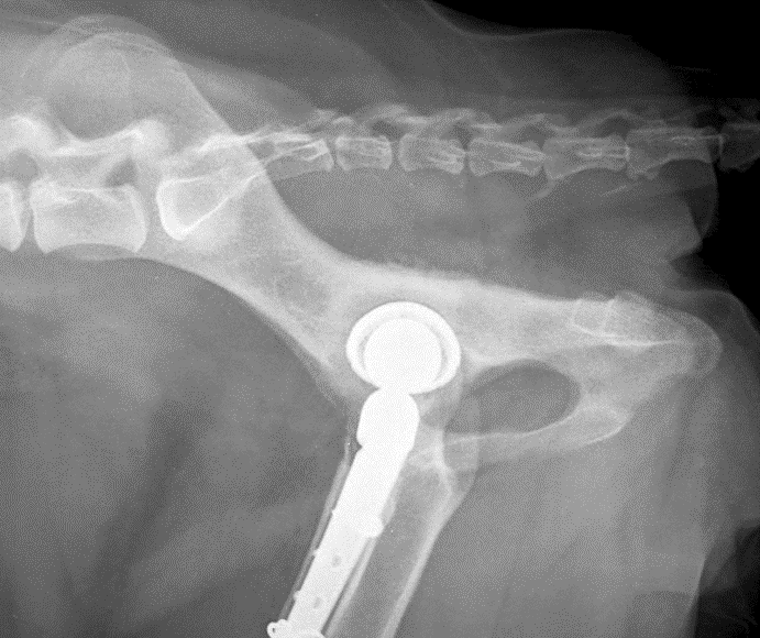 Follow-up radiograph left