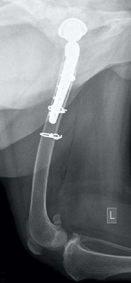 Follow-up radiograph centre