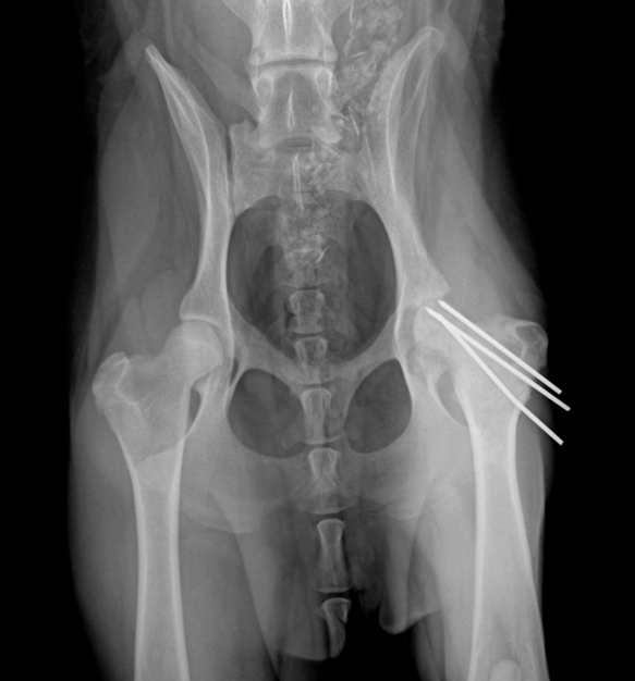 Further pre-operative imaging left