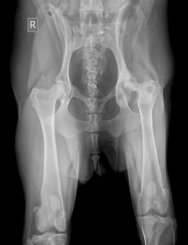 Intraoperative image — joint opening